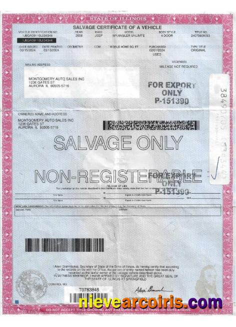 USA Illinois salvage certificate of a vehicle
